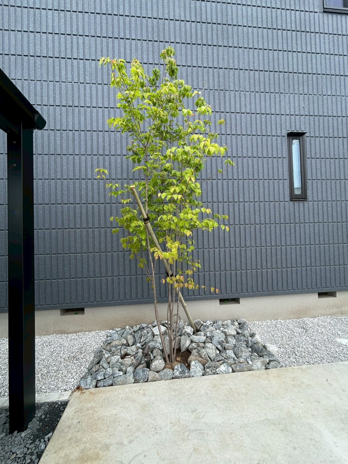 施工後　シンボルツリー　照明　LIXIL　スパイクスポットライト